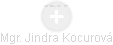 Jindra Kocurová - Vizualizace  propojení osoby a firem v obchodním rejstříku