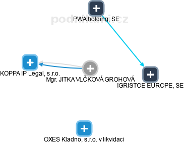  Vlčková J. - Vizualizace  propojení osoby a firem v obchodním rejstříku