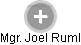 Joel Ruml - Vizualizace  propojení osoby a firem v obchodním rejstříku