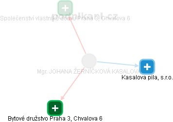JOHANA ŽERNÍČKOVÁ KASALOVÁ - Vizualizace  propojení osoby a firem v obchodním rejstříku