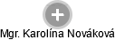 Karolína N. - Vizualizace  propojení osoby a firem v obchodním rejstříku