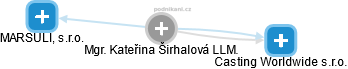 Kateřina Širhalová - Vizualizace  propojení osoby a firem v obchodním rejstříku