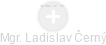 Ladislav Č. - Vizualizace  propojení osoby a firem v obchodním rejstříku