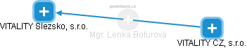 Lenka Boturová - Vizualizace  propojení osoby a firem v obchodním rejstříku