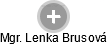 Lenka Brusová - Vizualizace  propojení osoby a firem v obchodním rejstříku