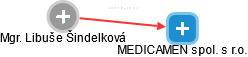 Libuše Šindelková - Vizualizace  propojení osoby a firem v obchodním rejstříku