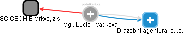Lucie Kvačková - Vizualizace  propojení osoby a firem v obchodním rejstříku