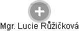  Lucie R. - Vizualizace  propojení osoby a firem v obchodním rejstříku