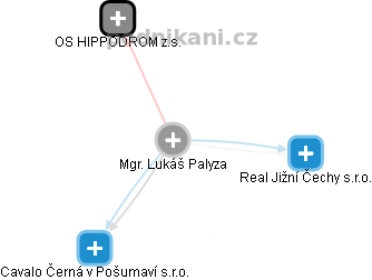 Lukáš Palyza - Vizualizace  propojení osoby a firem v obchodním rejstříku