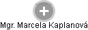  Marcela K. - Vizualizace  propojení osoby a firem v obchodním rejstříku