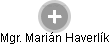 Marián Haverlík - Vizualizace  propojení osoby a firem v obchodním rejstříku