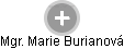 Marie Burianová - Vizualizace  propojení osoby a firem v obchodním rejstříku