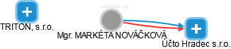  Nováčková M. - Vizualizace  propojení osoby a firem v obchodním rejstříku