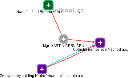 MARTIN ČERVÍČEK - Vizualizace  propojení osoby a firem v obchodním rejstříku