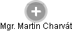 Martin Charvát - Vizualizace  propojení osoby a firem v obchodním rejstříku