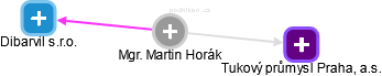 Martin Horák - Vizualizace  propojení osoby a firem v obchodním rejstříku