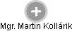 Martin Kollárik - Vizualizace  propojení osoby a firem v obchodním rejstříku