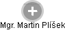 Martin Plíšek - Vizualizace  propojení osoby a firem v obchodním rejstříku
