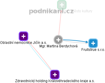 Martina Berdychová - Vizualizace  propojení osoby a firem v obchodním rejstříku