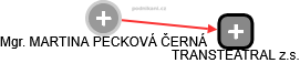  Mgr. MARTINA PECKOVÁ ČERNÁ - Vizualizace  propojení osoby a firem v obchodním rejstříku