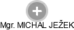 MICHAL JEŽEK - Vizualizace  propojení osoby a firem v obchodním rejstříku