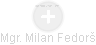 Milan Fedorš - Vizualizace  propojení osoby a firem v obchodním rejstříku