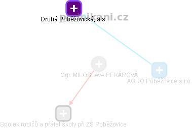 MILOSLAVA PEKÁROVÁ - Vizualizace  propojení osoby a firem v obchodním rejstříku