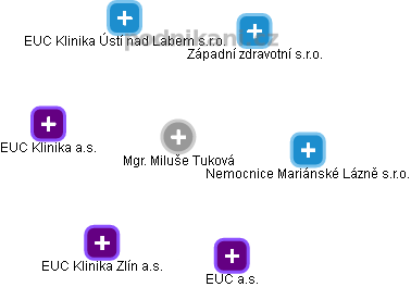 Miluše Tuková - Vizualizace  propojení osoby a firem v obchodním rejstříku