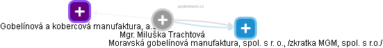 Miluška Trachtová - Vizualizace  propojení osoby a firem v obchodním rejstříku