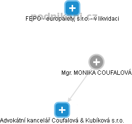  Monika T. - Vizualizace  propojení osoby a firem v obchodním rejstříku