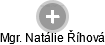 Natálie Říhová - Vizualizace  propojení osoby a firem v obchodním rejstříku