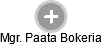  Paata B. - Vizualizace  propojení osoby a firem v obchodním rejstříku