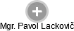 Pavol Lackovič - Vizualizace  propojení osoby a firem v obchodním rejstříku