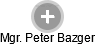 Peter Bazger - Vizualizace  propojení osoby a firem v obchodním rejstříku