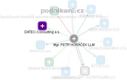 PETR HORÁČEK - Vizualizace  propojení osoby a firem v obchodním rejstříku