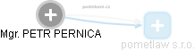 PETR PERNICA - Vizualizace  propojení osoby a firem v obchodním rejstříku