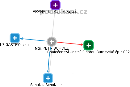  Scholz P. - Vizualizace  propojení osoby a firem v obchodním rejstříku