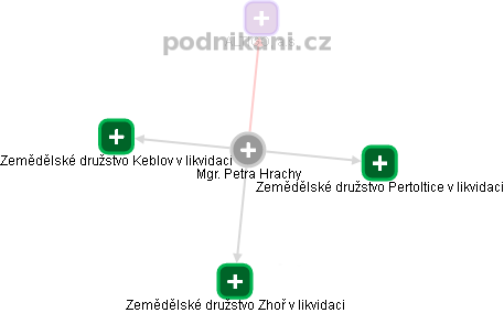 Petra Hrachy - Vizualizace  propojení osoby a firem v obchodním rejstříku