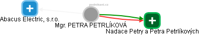 PETRA PETRLÍKOVÁ - Vizualizace  propojení osoby a firem v obchodním rejstříku