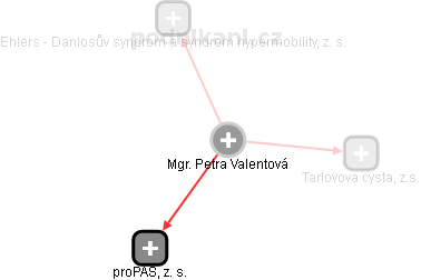 Petra Valentová - Vizualizace  propojení osoby a firem v obchodním rejstříku