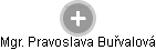 Pravoslava Buřvalová - Vizualizace  propojení osoby a firem v obchodním rejstříku