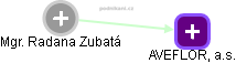 Radana Zubatá - Vizualizace  propojení osoby a firem v obchodním rejstříku