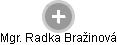 Radka Bražinová - Vizualizace  propojení osoby a firem v obchodním rejstříku