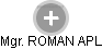 ROMAN APL - Vizualizace  propojení osoby a firem v obchodním rejstříku