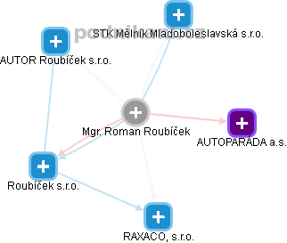 Roman Roubíček - Vizualizace  propojení osoby a firem v obchodním rejstříku