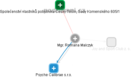 Romana Malczyk - Vizualizace  propojení osoby a firem v obchodním rejstříku