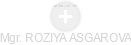  Roziya A. - Vizualizace  propojení osoby a firem v obchodním rejstříku