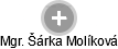 Šárka Molíková - Vizualizace  propojení osoby a firem v obchodním rejstříku