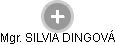 SILVIA DINGOVÁ - Vizualizace  propojení osoby a firem v obchodním rejstříku