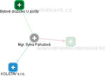 Sylva Pahutová - Vizualizace  propojení osoby a firem v obchodním rejstříku
